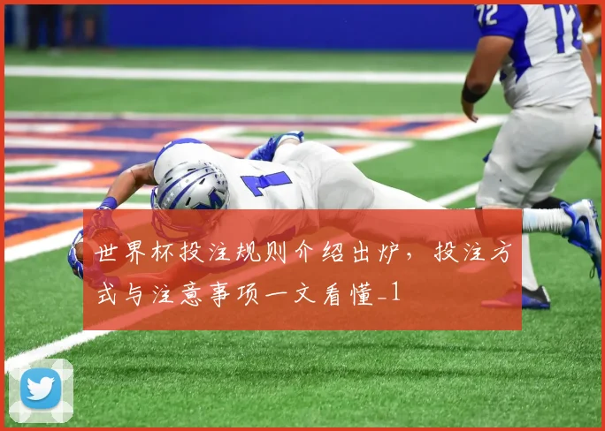 世界杯投注规则介绍出炉，投注方式与注意事项一文看懂_1