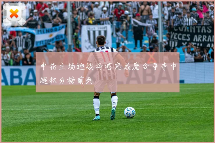 申花主场迎战海港完成磨合争夺中超积分榜前列