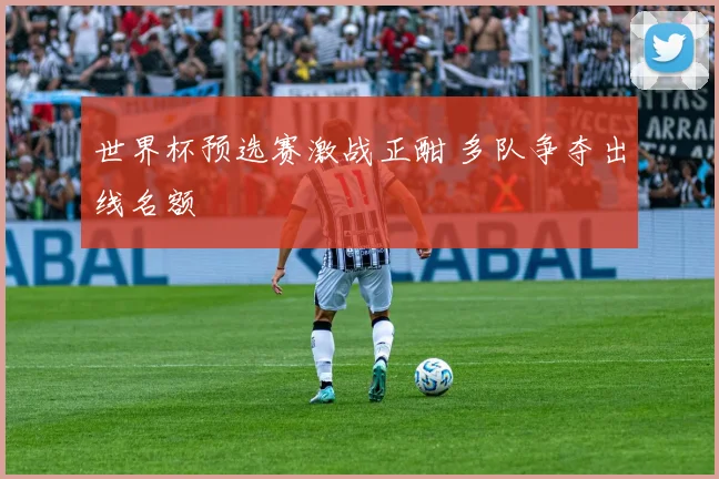 世界杯预选赛激战正酣 多队争夺出线名额