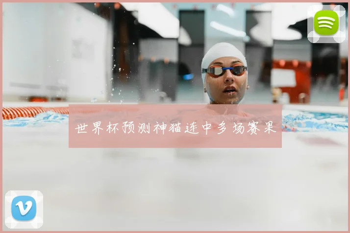 世界杯预测神猫连中多场赛果
