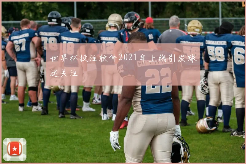 世界杯投注软件2021年上线引发球迷关注